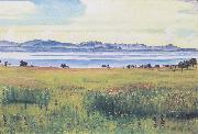 Ferdinand Hodler Lake Geneva from St Prex (nn02) Spain oil painting reproduction